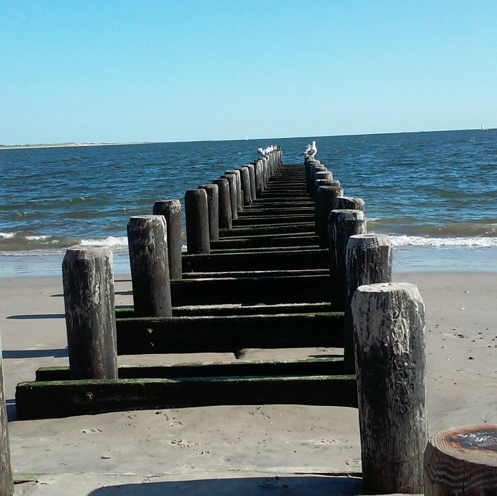 Meet your Posher, Dina